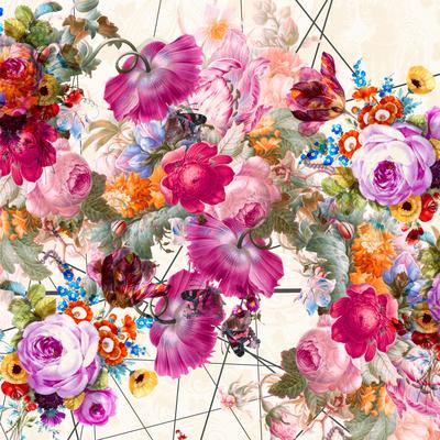 Bloom-Boom_1000X1000_f113efc6-d149-4ead-bb01-b513a6b68536_400x
