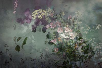 Where-the-Wildflowers-Are_Web_569b606d-0f5e-4950-916e-87dd611fa5af_400x